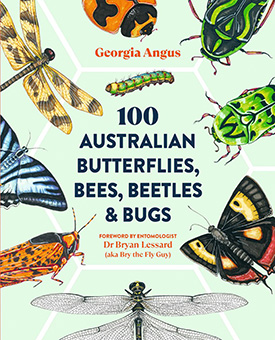 Australian Butterflies Beetles and Bugs