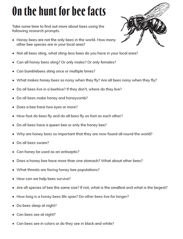 Bee research question prompts for kids