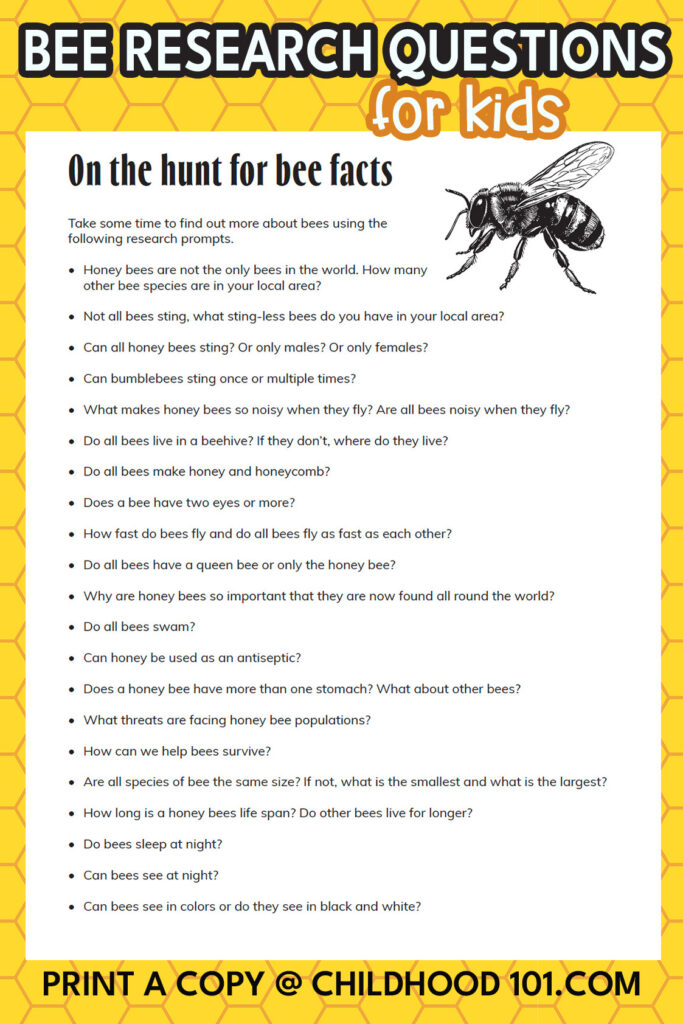 Bee research question prompts for kids