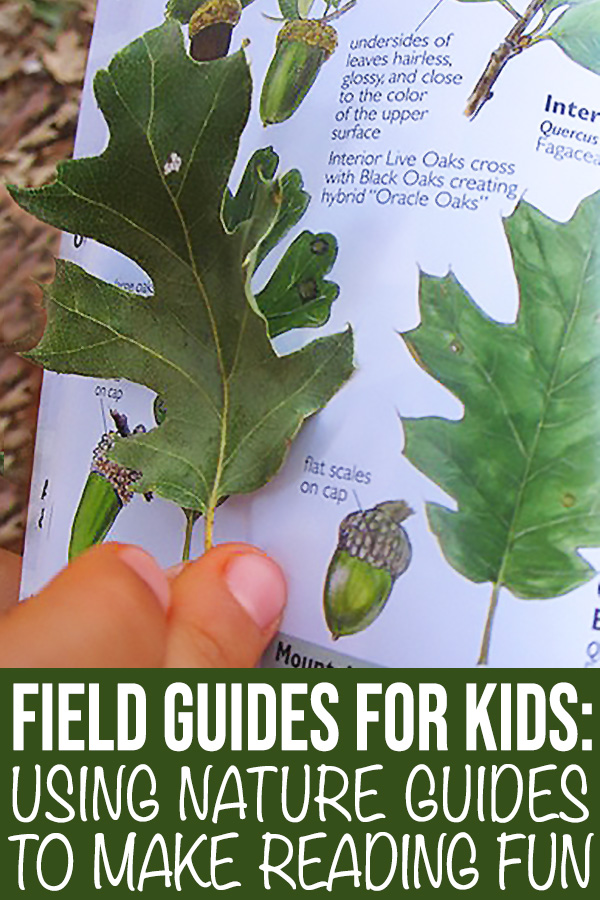 Best field guides for children