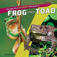 Frog and Toad Books for Kids