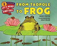 From Tadpole to Frog: Lifecycle Books for Kids