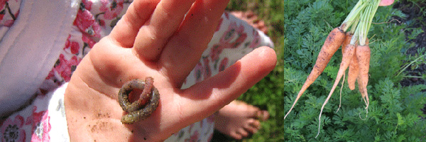 gardening with kids