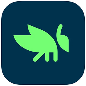 Grasshopper coding app