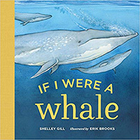 Informational Books about Ocean Life for Toddlers 