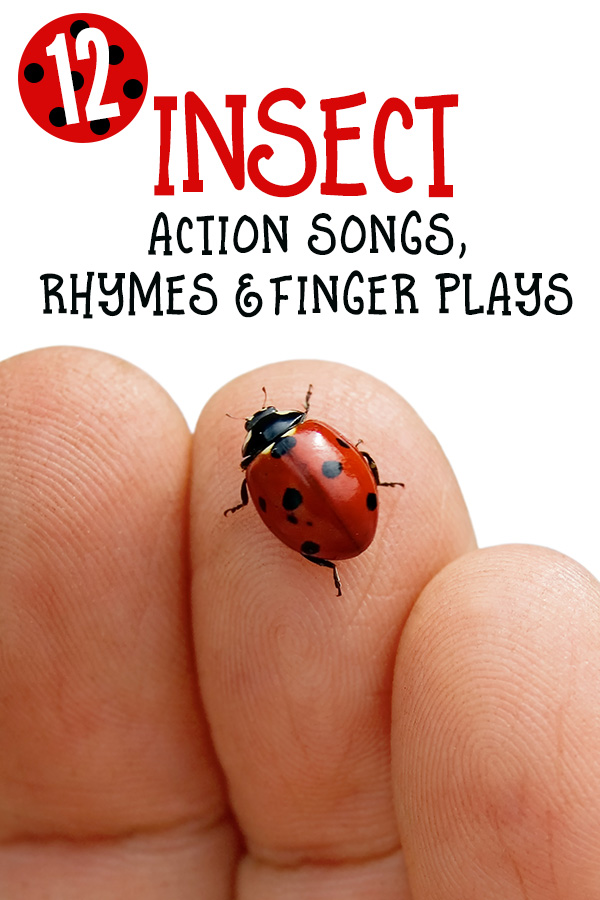 12 Insect finger plays, action songs and rhymes