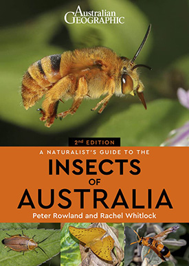 Insects of Australia