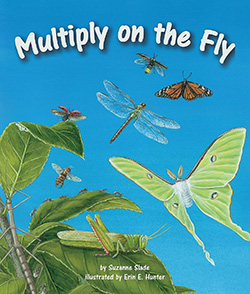 Multiply on the Fly