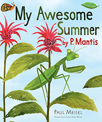 My Awesome Summer books for kids