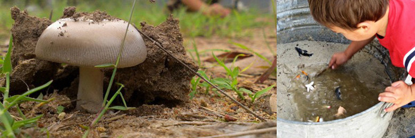 50+ Nature Inspired Play and Learning Ideas. Perfect for Earth Day and Spring and Summer play.