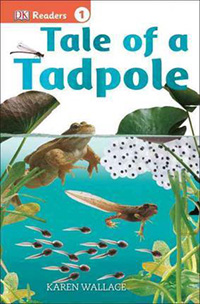 Tale of a Tadpole: Frog Lifecycle Books