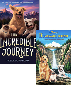 The Incredible Journey book and movie